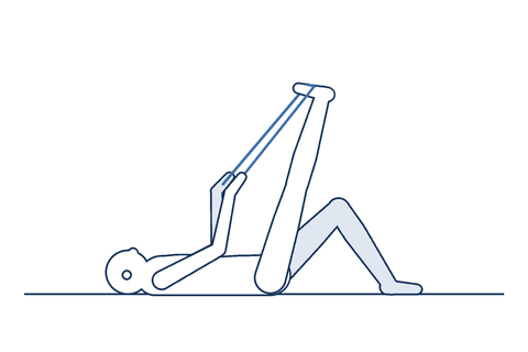Hamstring
